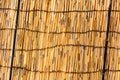 Bamboo screen made with small bamboo sticks Royalty Free Stock Photo