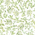 Bamboo seamless pattern, hand drawn bamboo leaves repeat paper, Watercolor green leaves branch background, florals print. textile