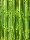 Bamboo seamless pattern Royalty Free Stock Photo