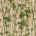 Bamboo seamless texture.