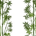 Bamboo Seamless Vertical Pattern