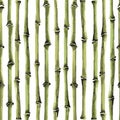 Bamboo Seamless Vertical Pattern on white background
