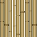 Bamboo seamless wallpaper