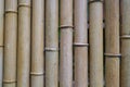 Bamboo-shaped fence made of plastic Royalty Free Stock Photo
