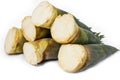 Bamboo shoot