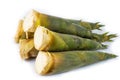 Bamboo shoot