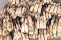 Bamboo Shoot Tips