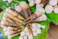 Bamboo shoots or bamboo sprouts High in Uric Acid Royalty Free Stock Photo
