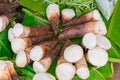 Bamboo shoots or bamboo sprouts High in Uric Acid