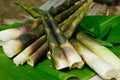 Bamboo shoots on banana leaf