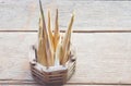 Bamboo shoots Royalty Free Stock Photo