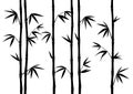 Bamboo Silhouette Exotic Illustration