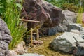 Bamboo sound water fountain next to calm languid stream surrounded stones as part of traditional Japanese Zen Garden