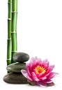 Bamboo, Spa Stones and Lotus Royalty Free Stock Photo