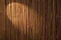 Bamboo Spotlight Background