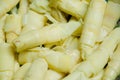 Bamboo sprout bamboo shoots Royalty Free Stock Photo