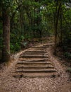 Bamboo stairs in the forest. Kyudainomori in Sasaguri, Fukuoka, Japan Royalty Free Stock Photo