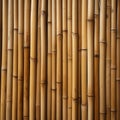 bamboo stalks create Texture, natural backdrop and peaceful background with Nature Theme Royalty Free Stock Photo
