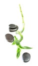 Bamboo stem and black stones Royalty Free Stock Photo