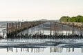 Bamboo stick for slow waves hit the coast, the Gulf of Thailand Royalty Free Stock Photo