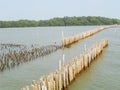 Bamboo stick for slow waves hit the coast, the Gulf of Thailand Royalty Free Stock Photo