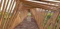 Bamboo walkway.