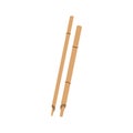 Bamboo sticks for calligraphy art. Natural hard reed pens. Arabic calligraphic, lettering supplies, tools. Flat graphic