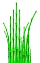 Bamboo sticks over white background Royalty Free Stock Photo