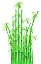 Bamboo sticks over white background Royalty Free Stock Photo