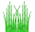 Bamboo sticks over white background Royalty Free Stock Photo