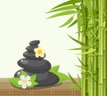 Bamboo and stones - spa background Royalty Free Stock Photo