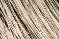 Bamboo strips Royalty Free Stock Photo