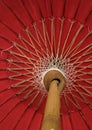 Bamboo structure of an umbrella