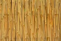 Bamboo Texture Royalty Free Stock Photo