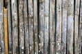 Bamboo texture background Royalty Free Stock Photo