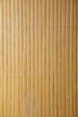 Bamboo texture background pattern. vertical bamboo lines Royalty Free Stock Photo