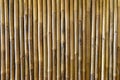 Bamboo texture, background and wallpaper. Wall decoration and design. Royalty Free Stock Photo