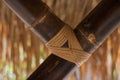 Bamboo Texture