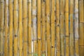 Bamboo Royalty Free Stock Photo