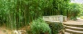 Bamboo thicket and stone decorative footbridge in park