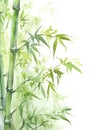 Bamboo toothbrush eco friendly background