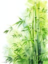 Bamboo toothbrush eco friendly background