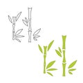 Bamboo tree green dense stems vector with isolated on white background. Cartoon graphic illustration Royalty Free Stock Photo
