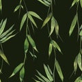 Bamboo tree leaves and twigs, Vertical, simple, tropical, seamless pattern. On a dark background. For decoration and