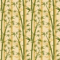 Bamboo tree vector seamless background Royalty Free Stock Photo
