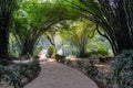 Bamboo trees line walking paths in Lodi Gardens in New Delhi India