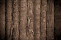 Bamboo Tropical Background