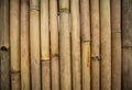 Bamboo trunk texture