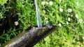 Bamboo tube and flowing water in Japanese garden