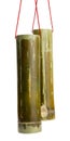 Bamboo Tube water container